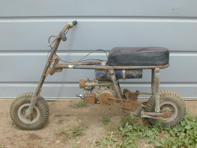 taco 22 mini bike for sale